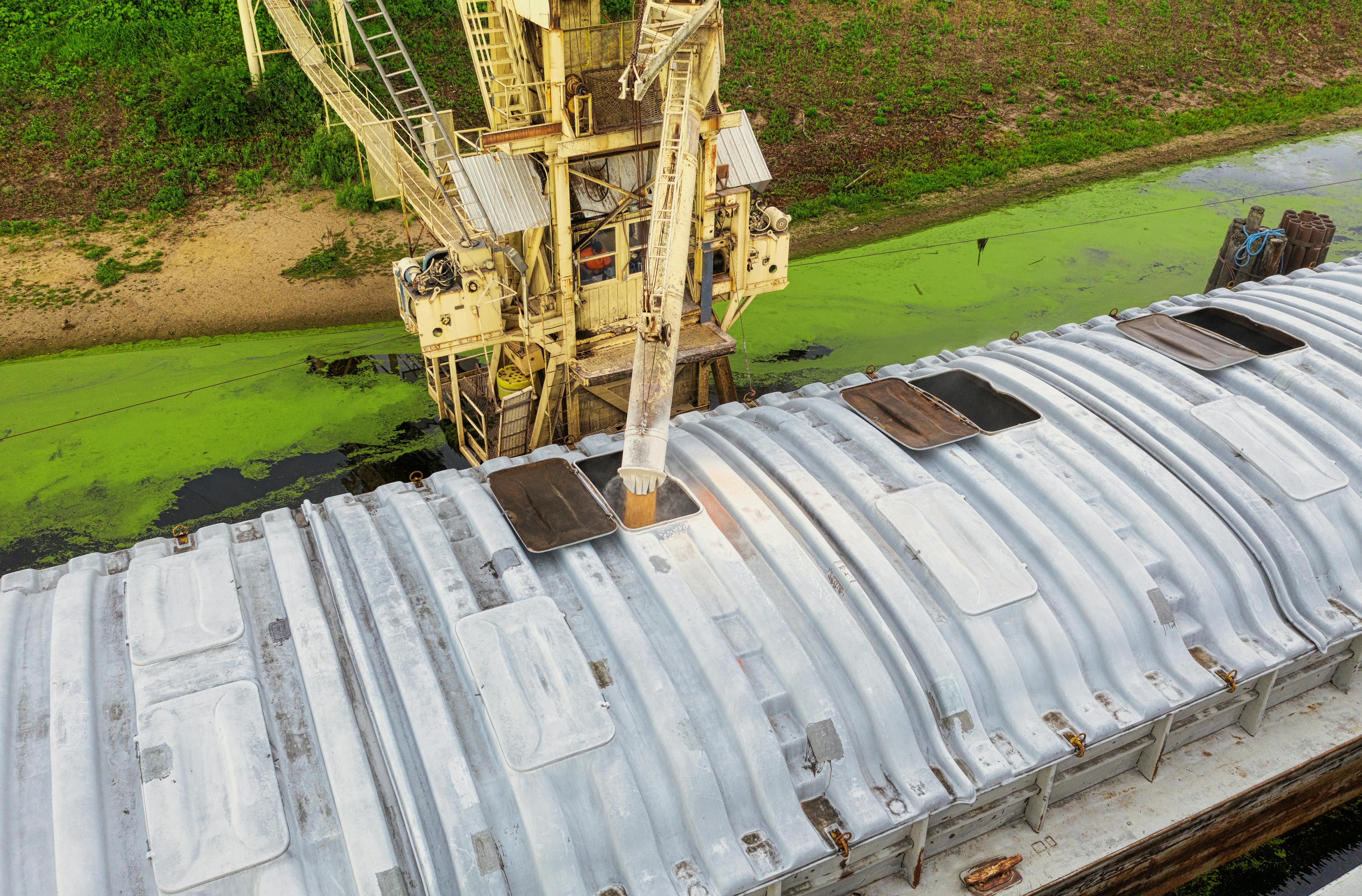 Agricultural commodities